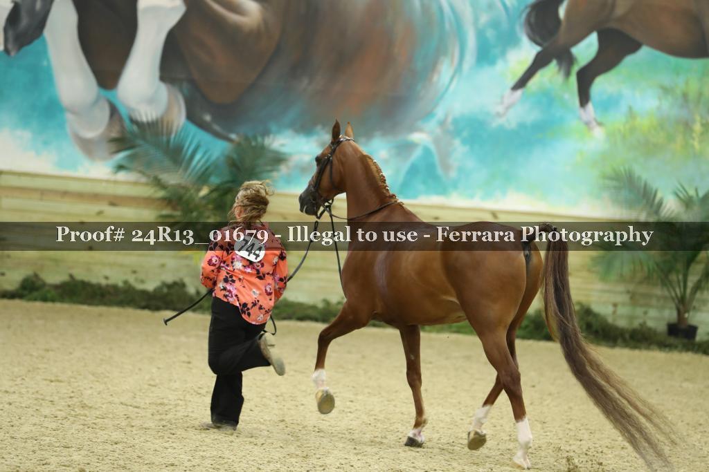 Proof 24R13_01679