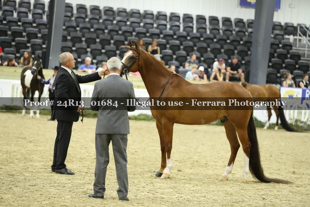 Proof 24R13_01684