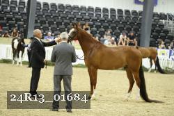 24R13_01684 proof