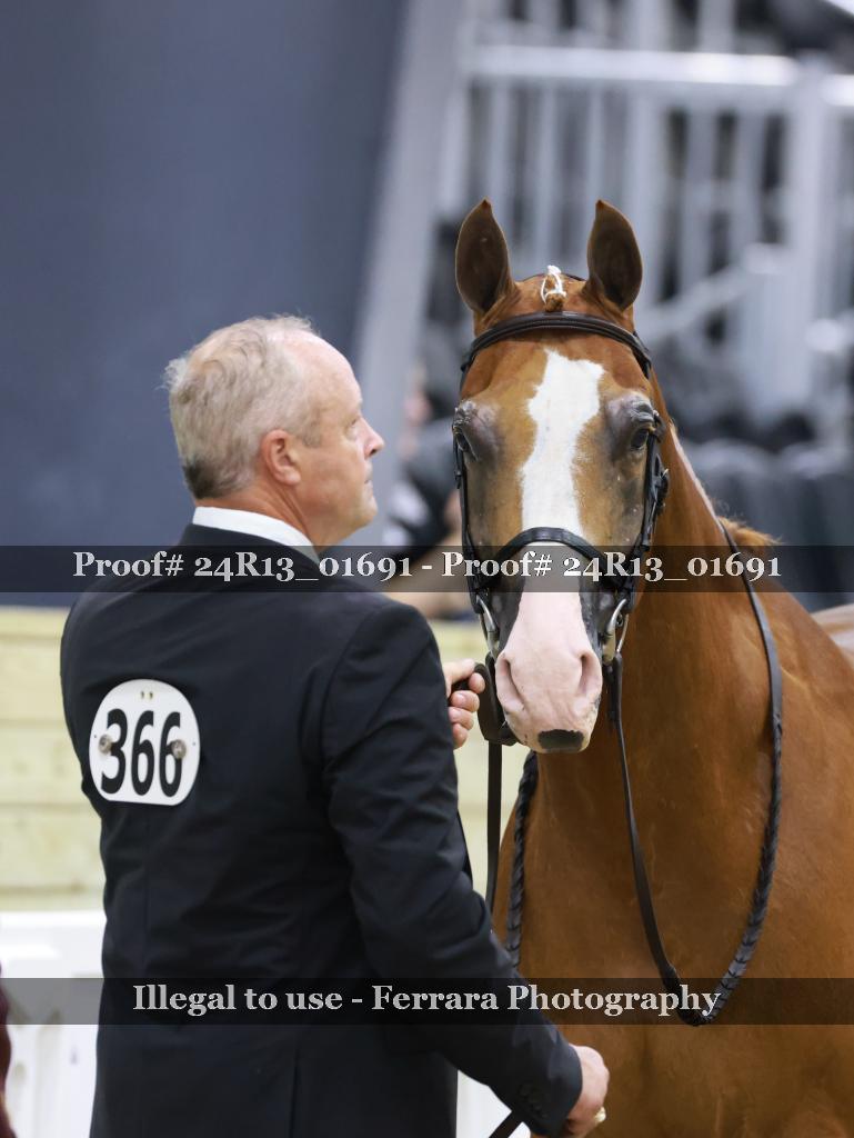 Proof 24R13_01691