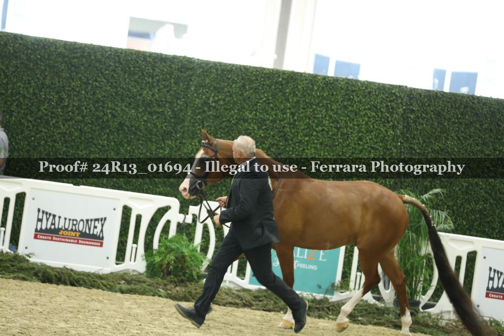 Proof 24R13_01694