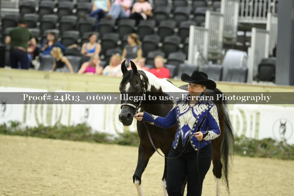 Proof 24R13_01699