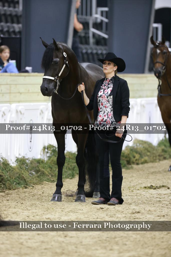 Proof 24R13_01702