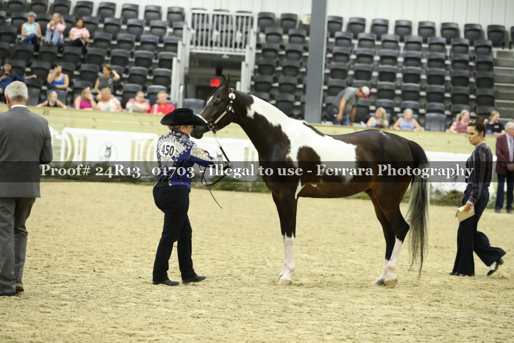 Proof 24R13_01703
