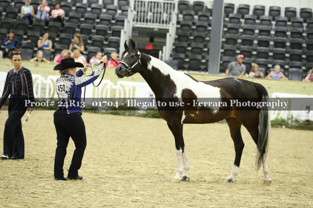 Proof 24R13_01704