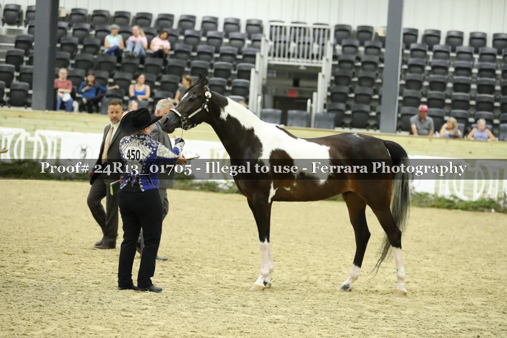 Proof 24R13_01705