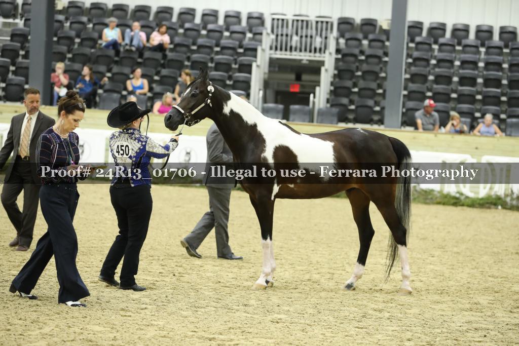Proof 24R13_01706