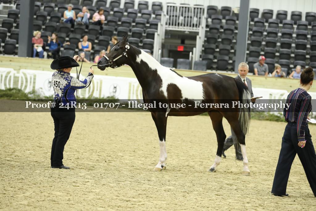 Proof 24R13_01707
