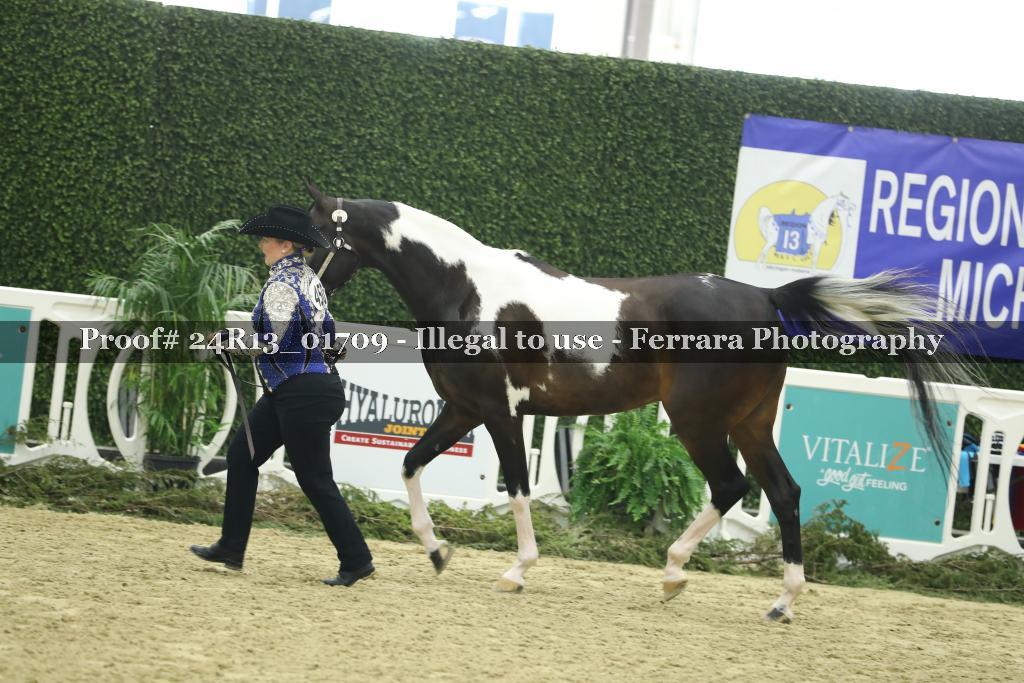 Proof 24R13_01709