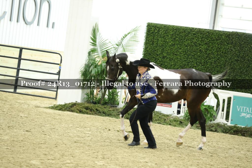 Proof 24R13_01712