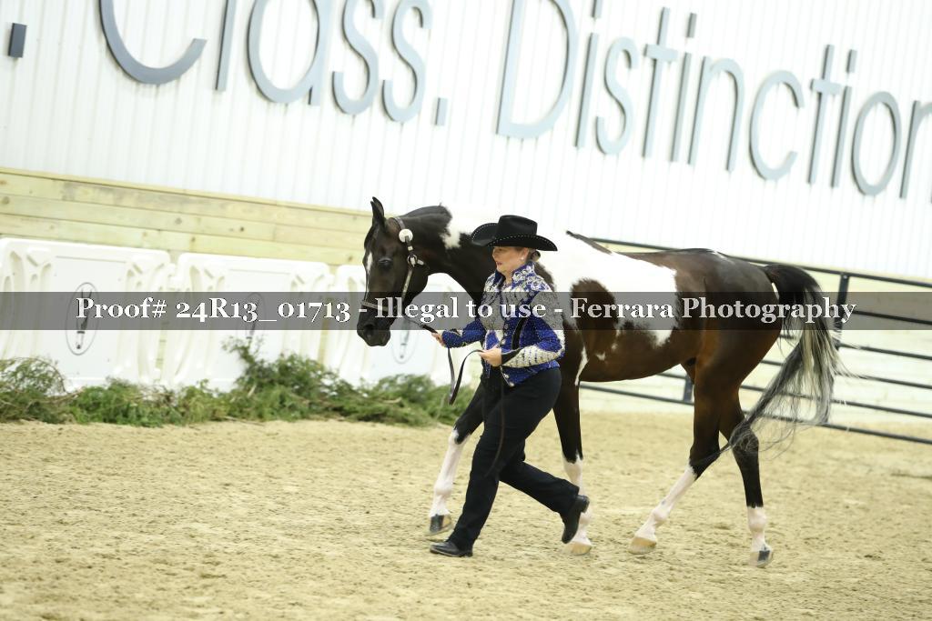 Proof 24R13_01713