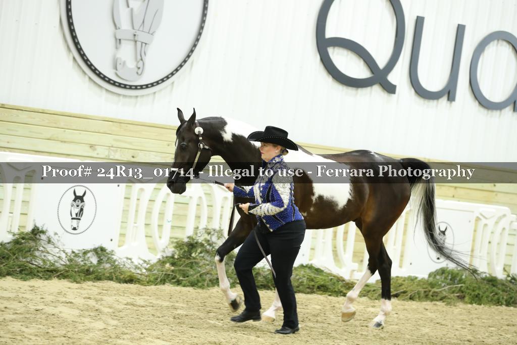 Proof 24R13_01714