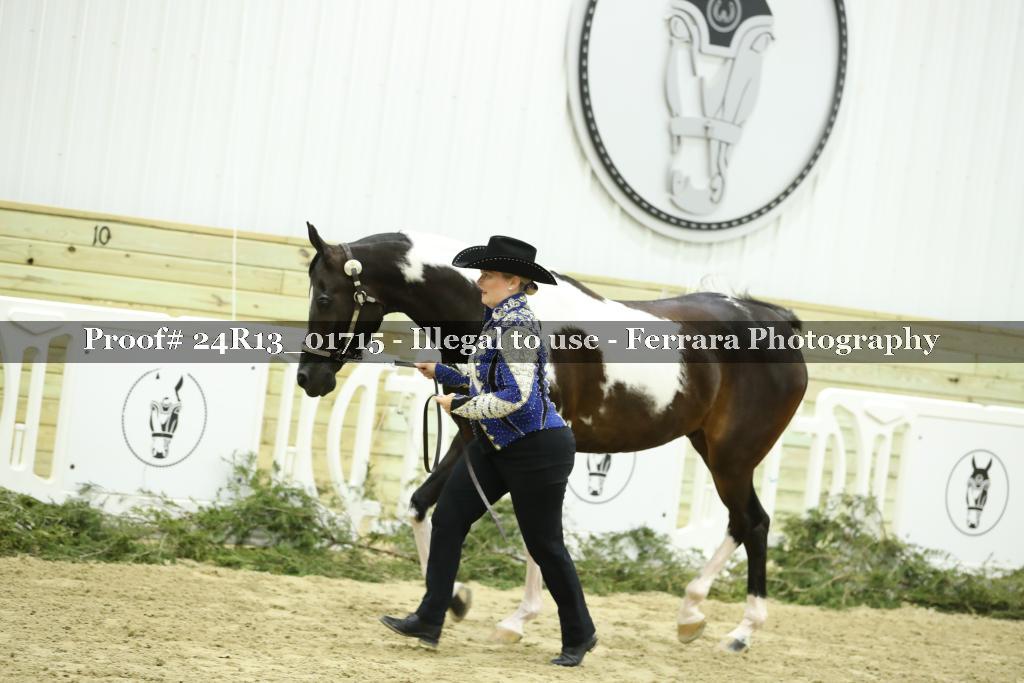 Proof 24R13_01715
