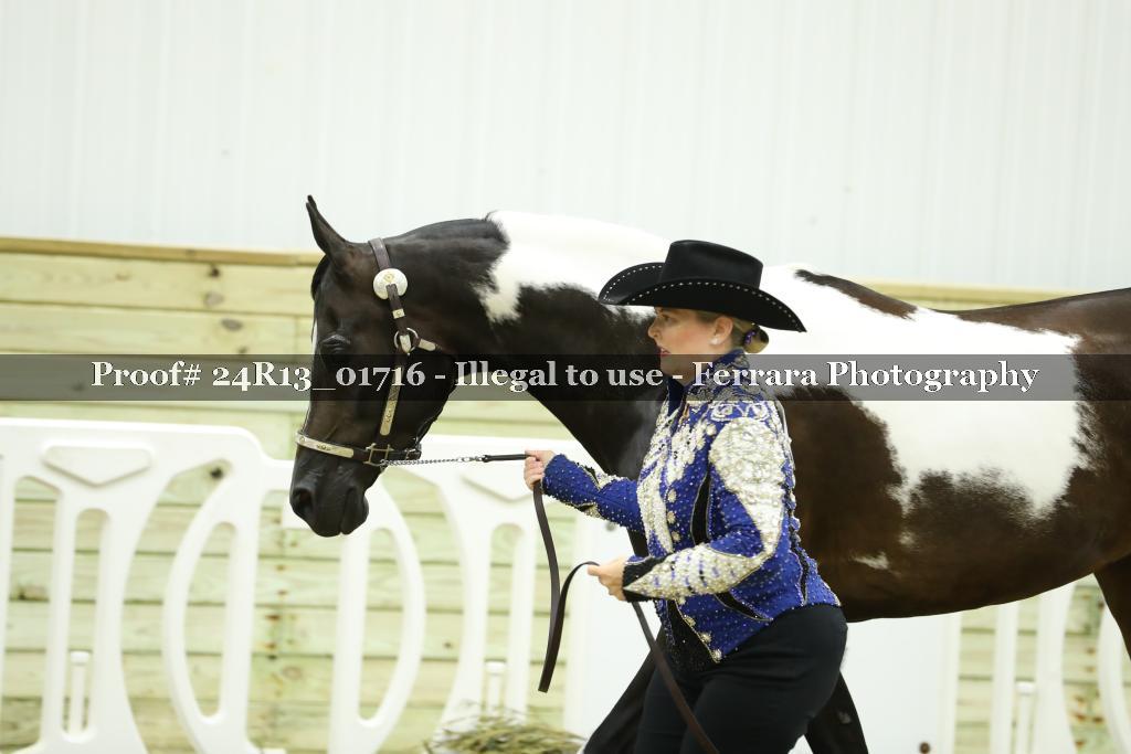 Proof 24R13_01716