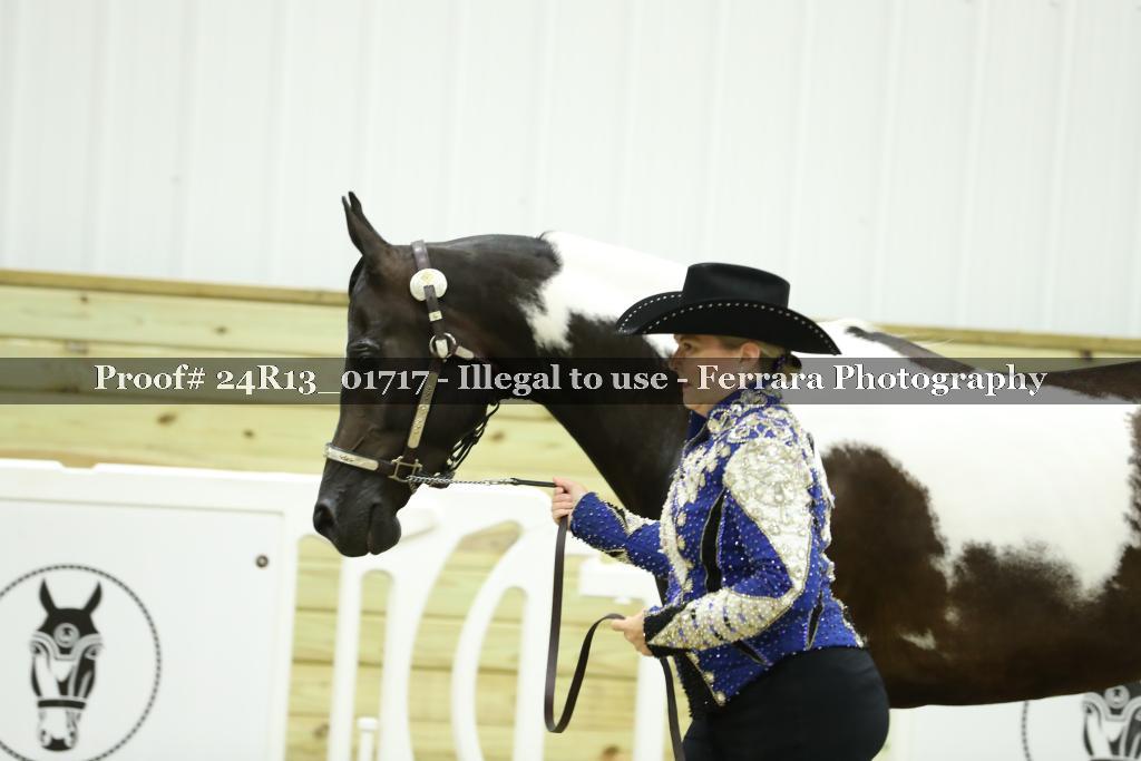 Proof 24R13_01717