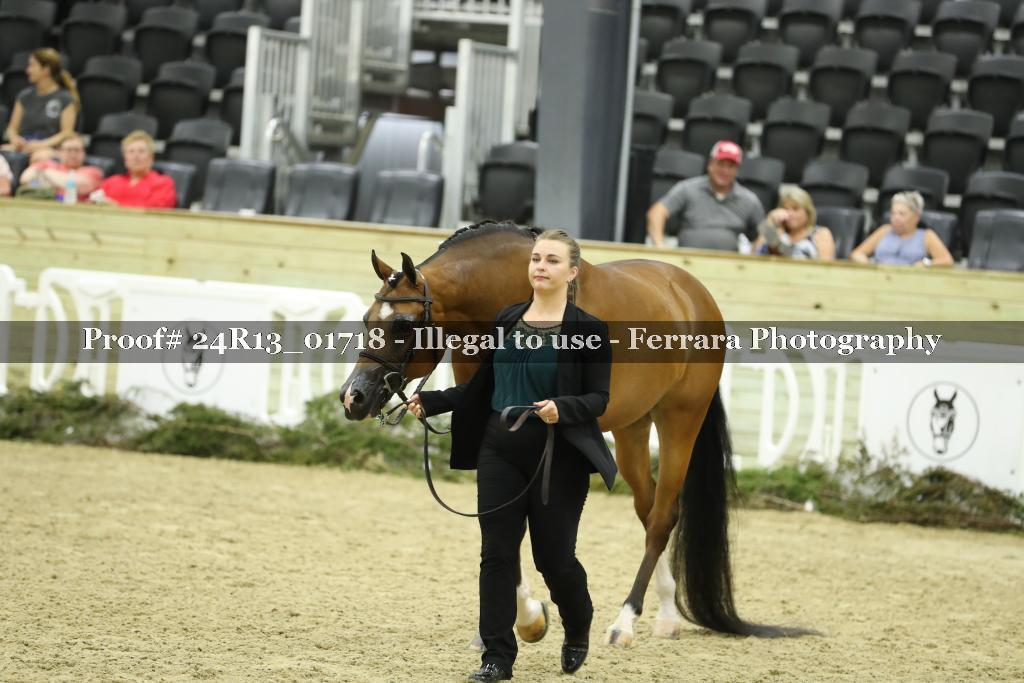 Proof 24R13_01718