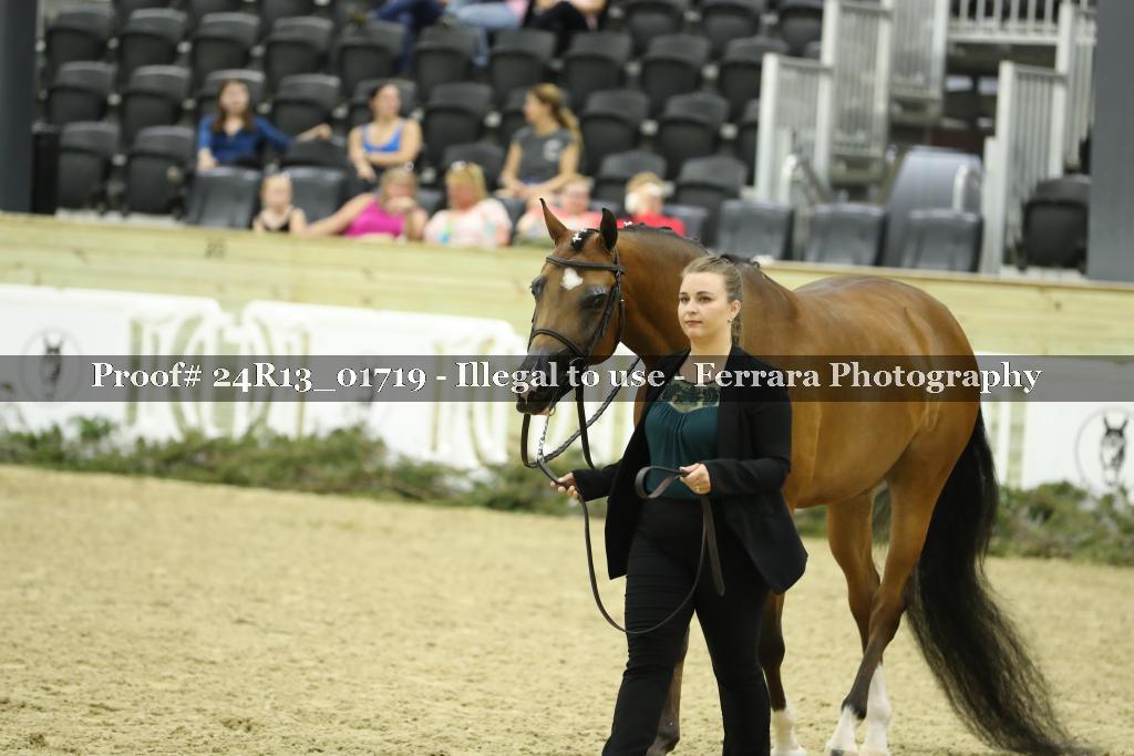 Proof 24R13_01719