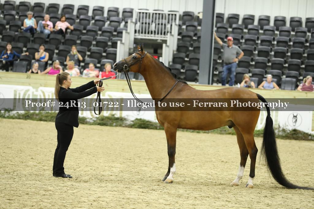 Proof 24R13_01722
