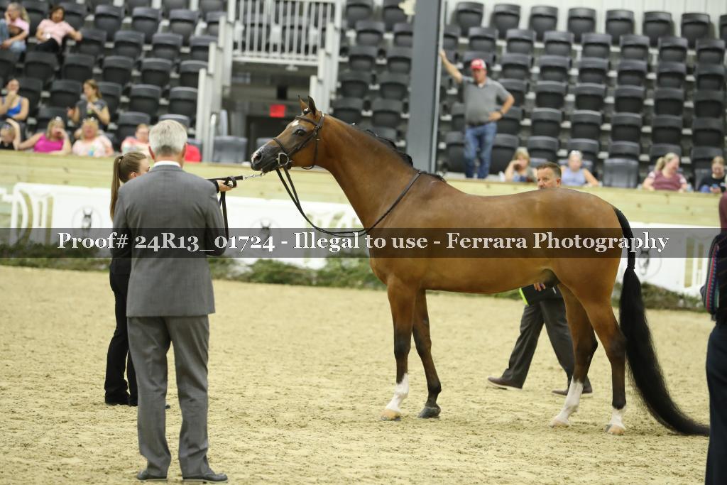 Proof 24R13_01724