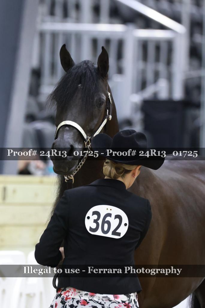 Proof 24R13_01725