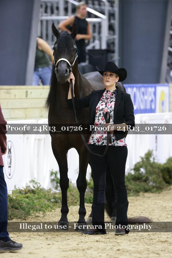 Proof 24R13_01726
