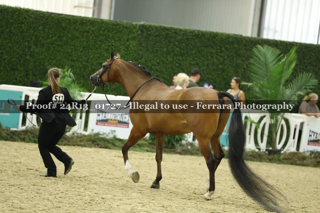 Proof 24R13_01727