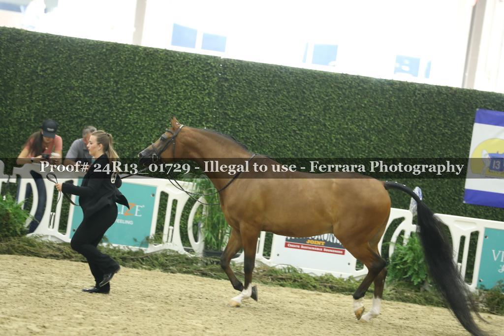 Proof 24R13_01729