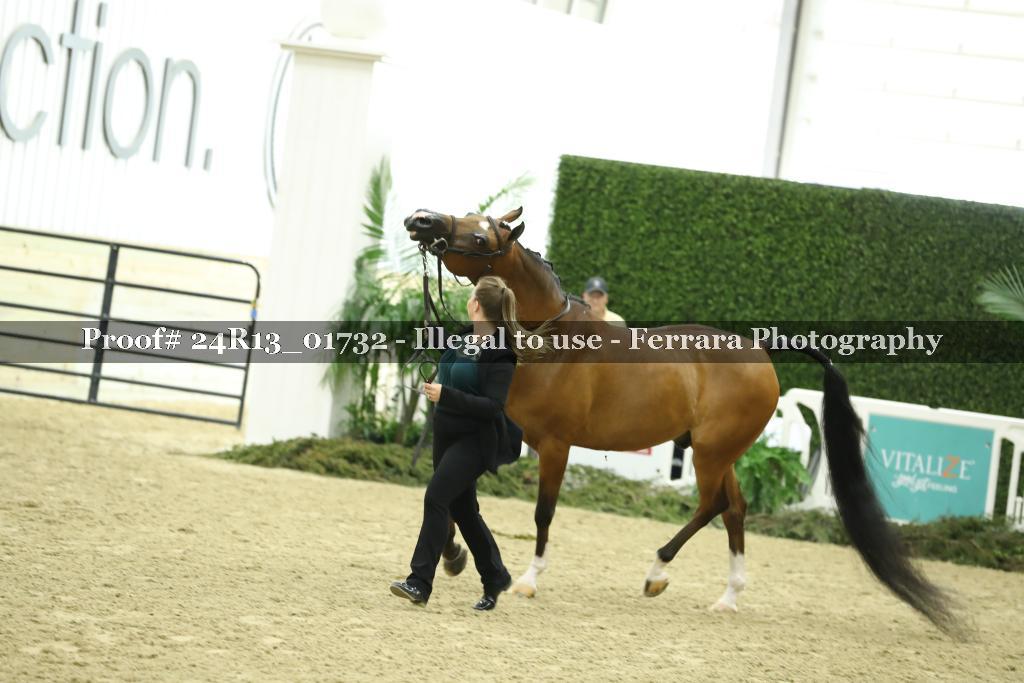 Proof 24R13_01732