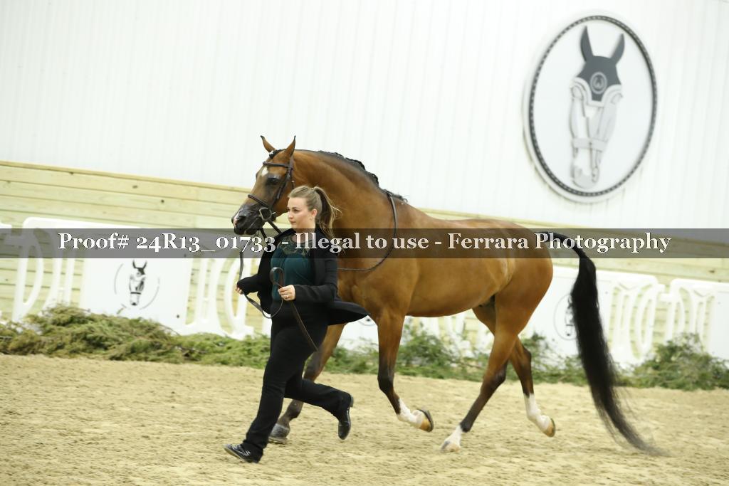Proof 24R13_01733