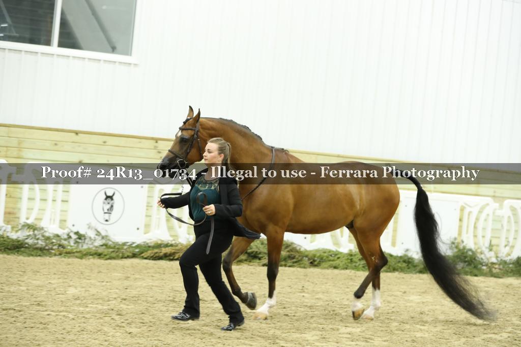 Proof 24R13_01734