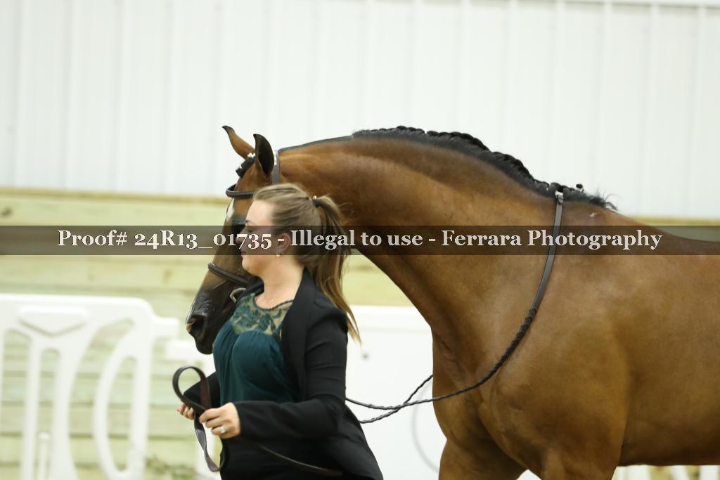 Proof 24R13_01735