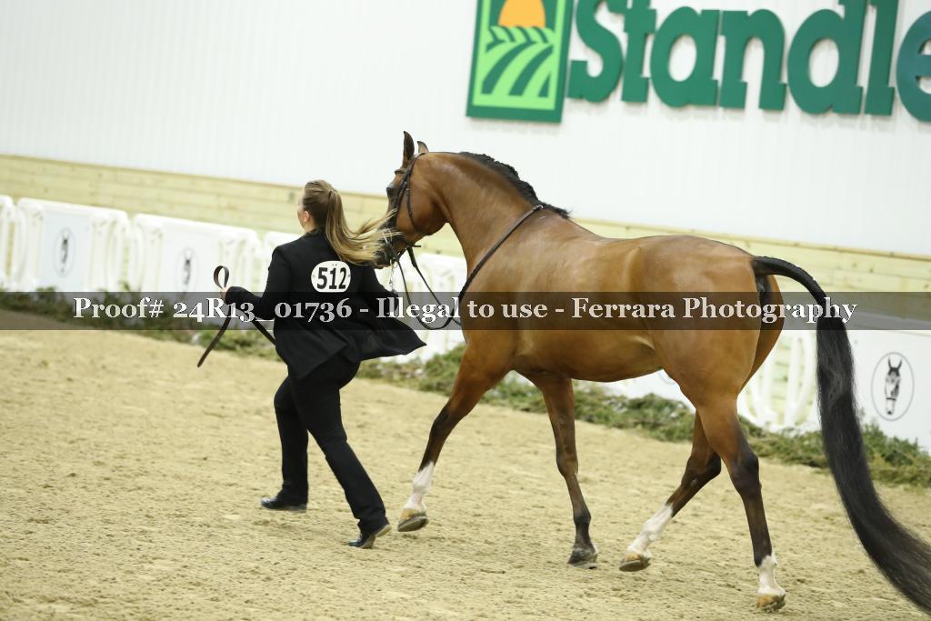 Proof 24R13_01736