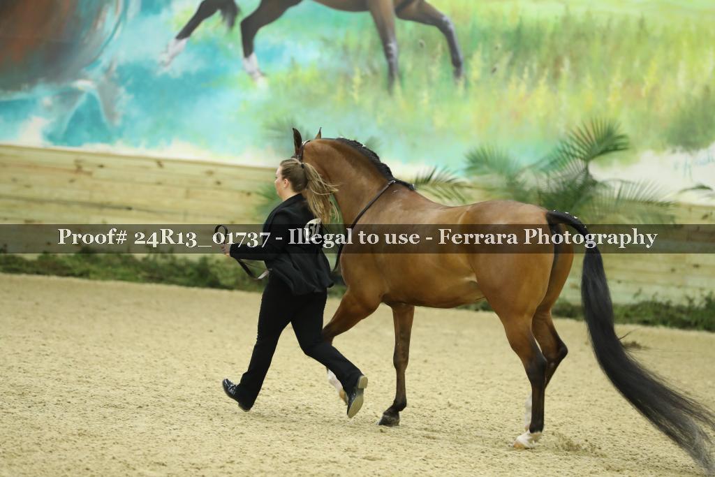 Proof 24R13_01737