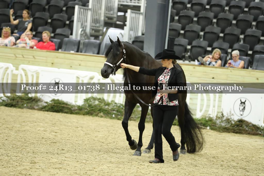 Proof 24R13_01738