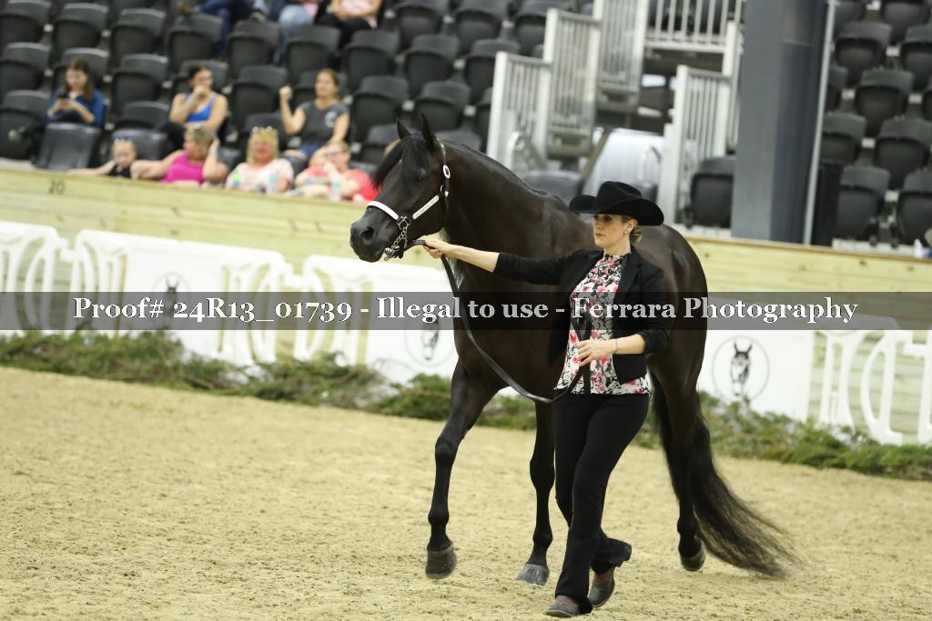 Proof 24R13_01739