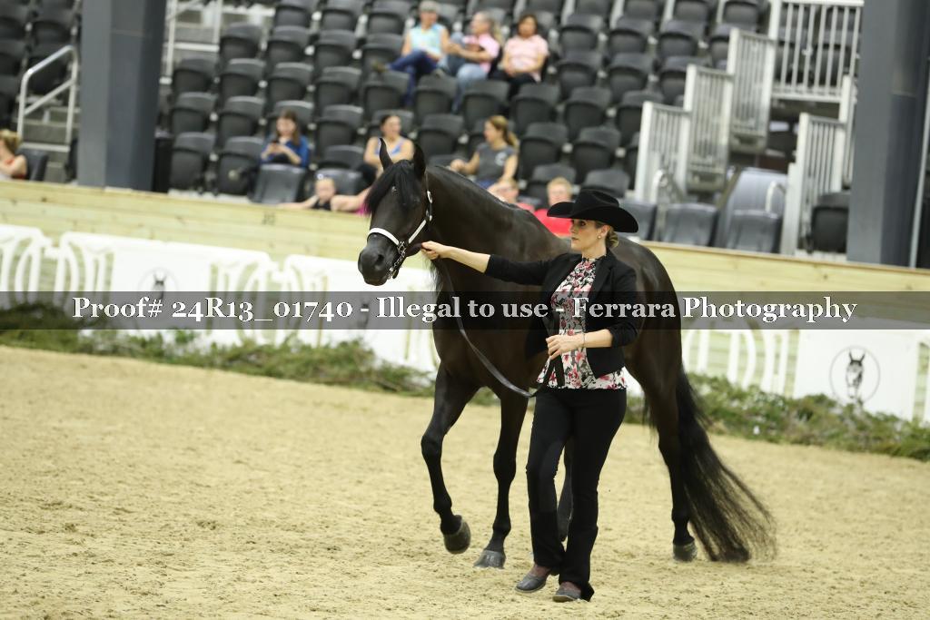 Proof 24R13_01740