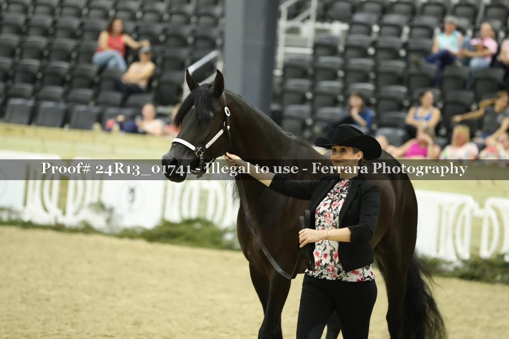 Proof 24R13_01741
