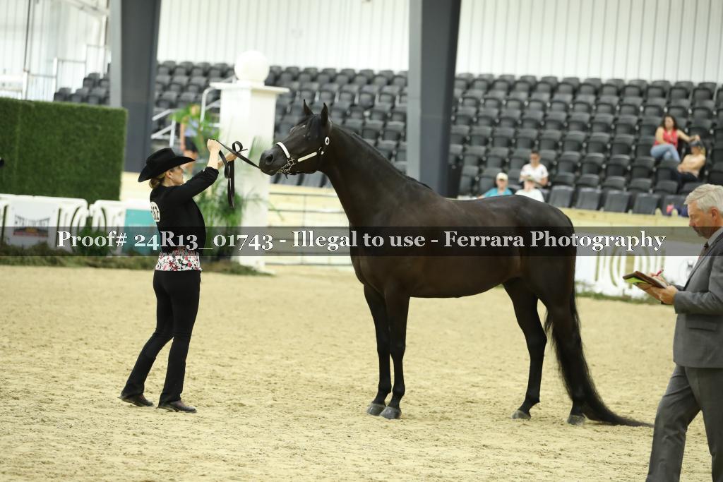 Proof 24R13_01743