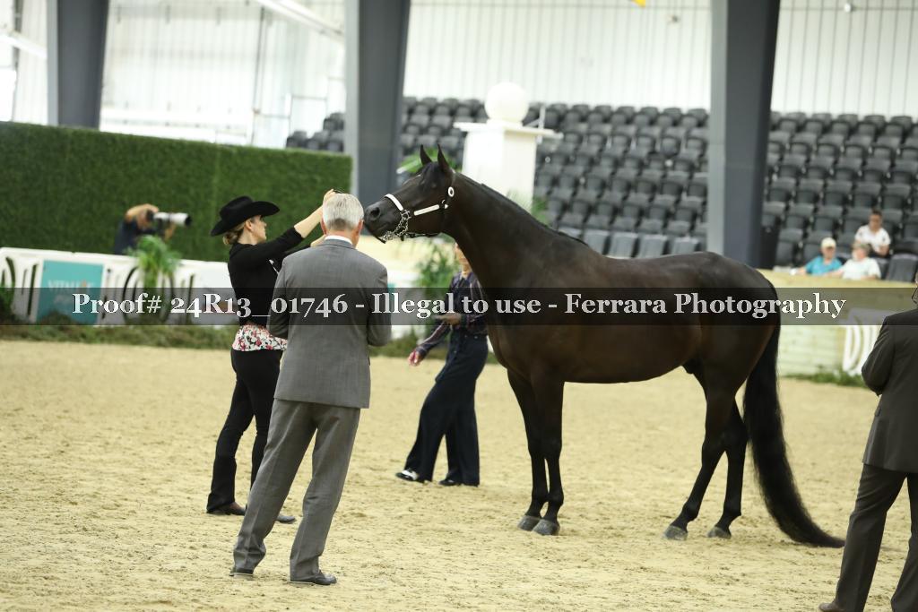 Proof 24R13_01746