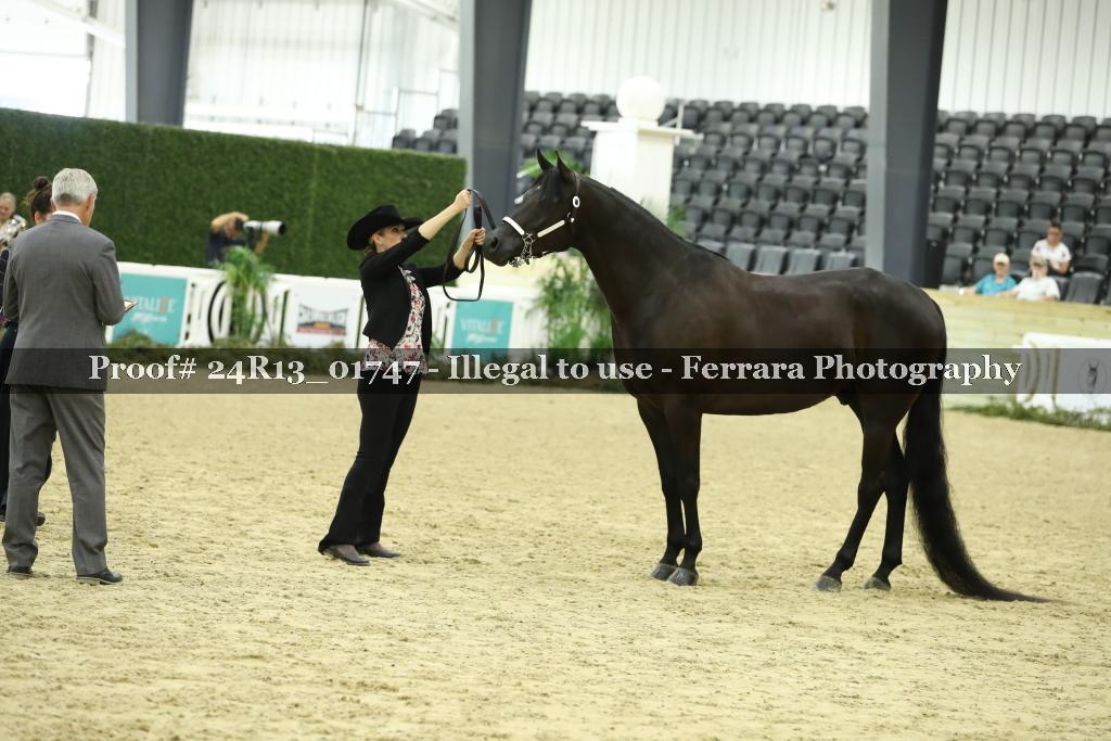 Proof 24R13_01747