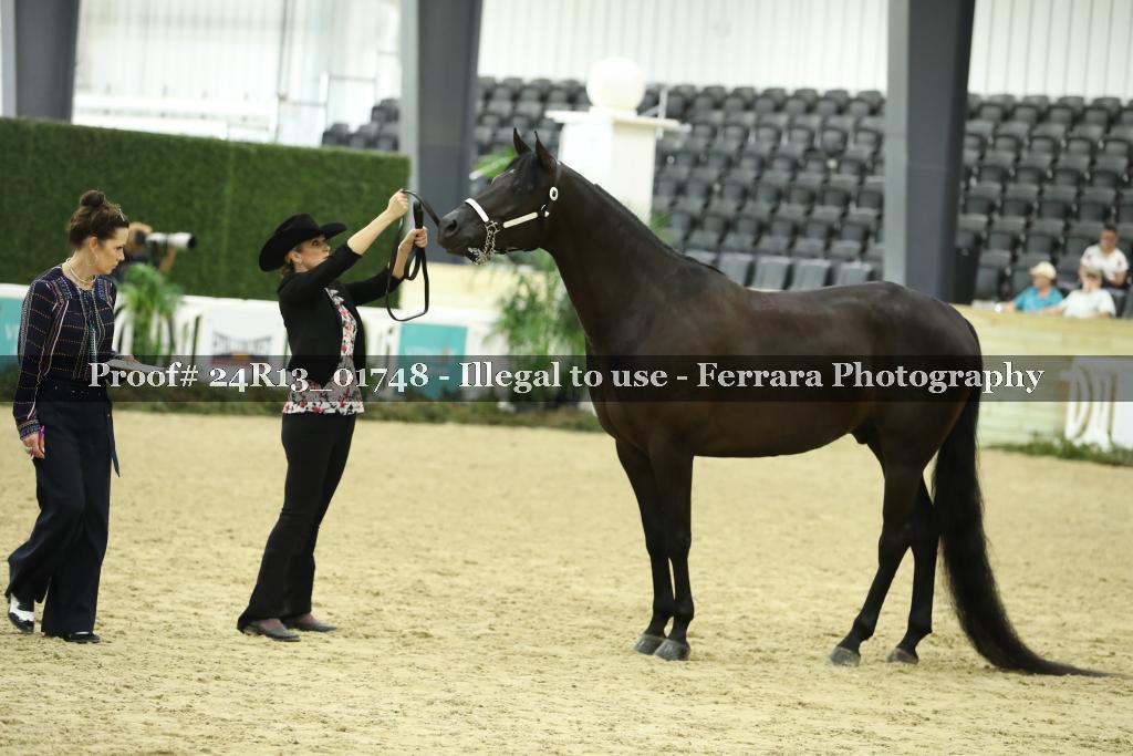 Proof 24R13_01748