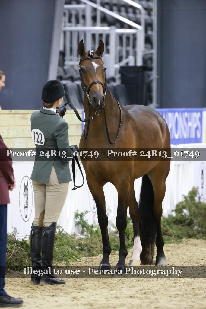 Proof 24R13_01749