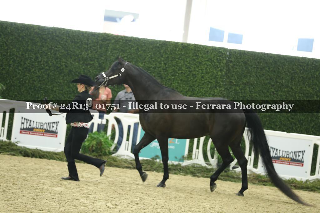 Proof 24R13_01751