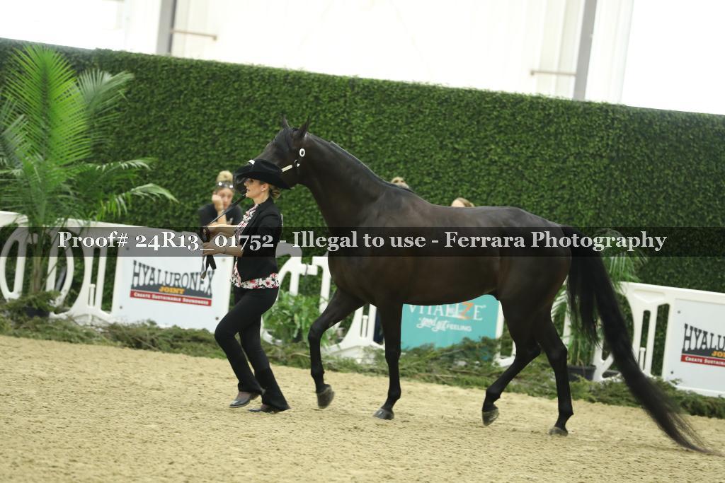 Proof 24R13_01752