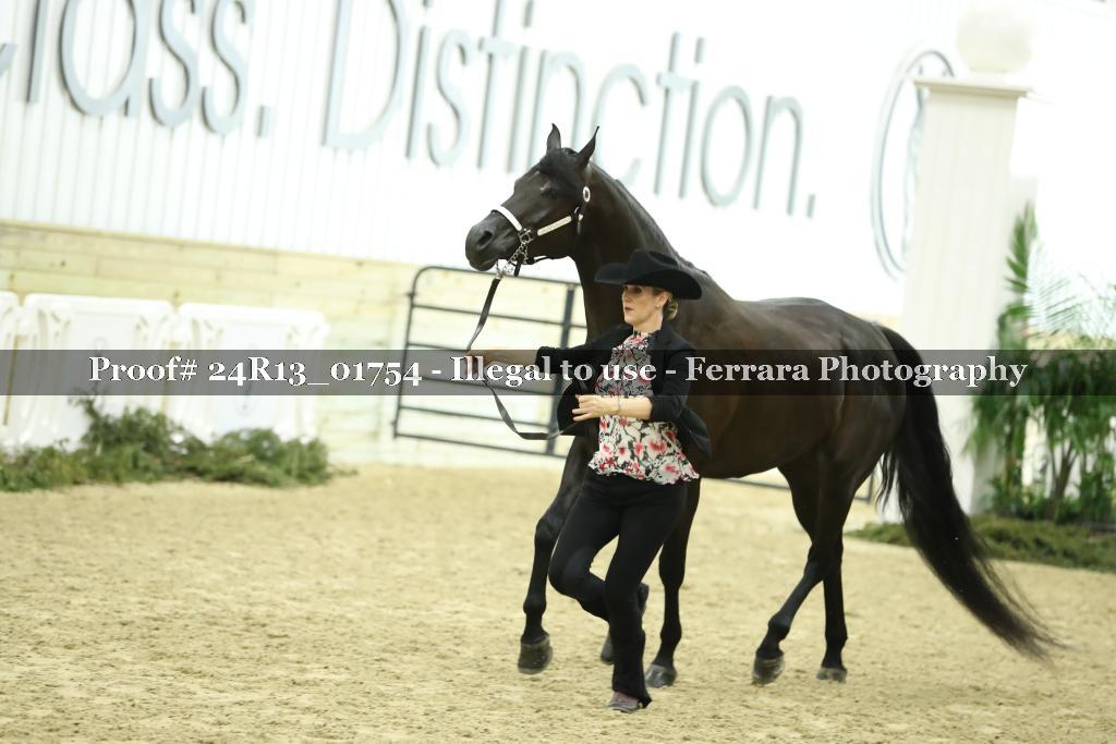 Proof 24R13_01754