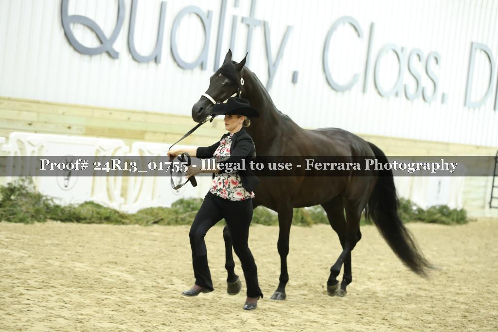 Proof 24R13_01755