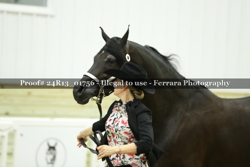 Proof 24R13_01756