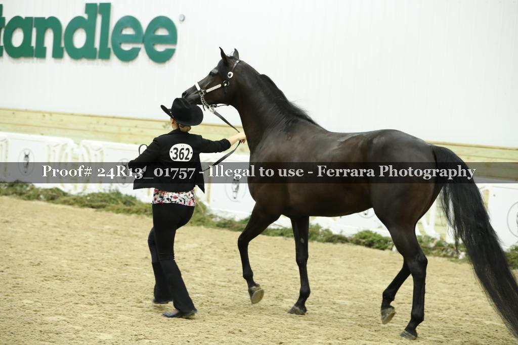 Proof 24R13_01757