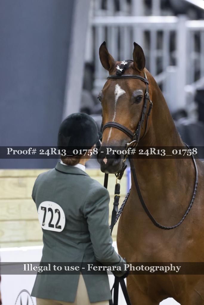 Proof 24R13_01758