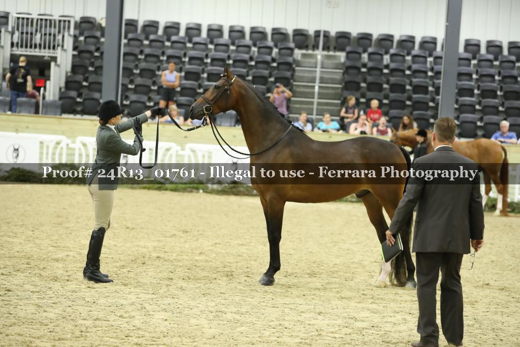 Proof 24R13_01761